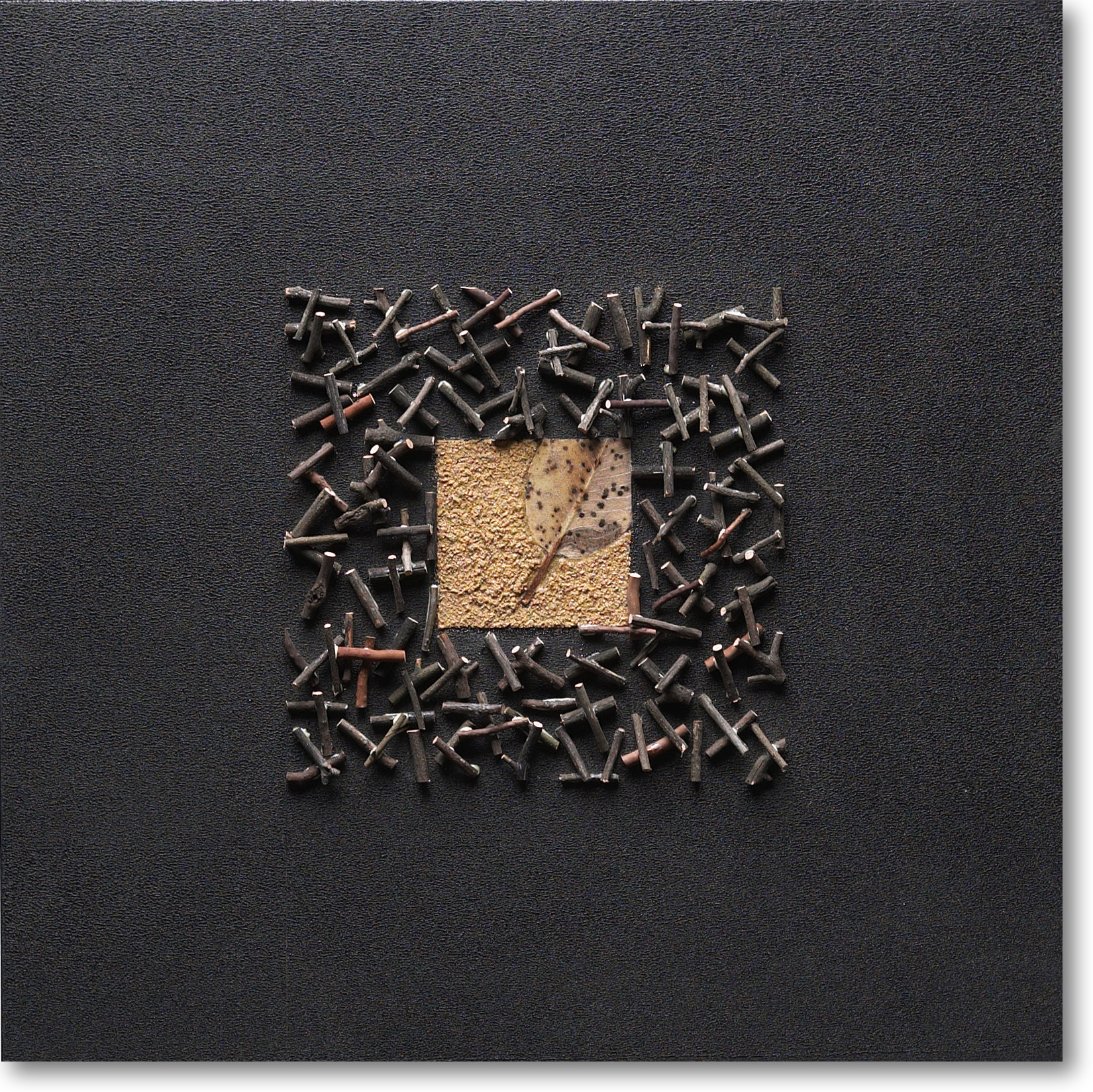 Mixed media assemblage with branches, sand and a madrone leaf